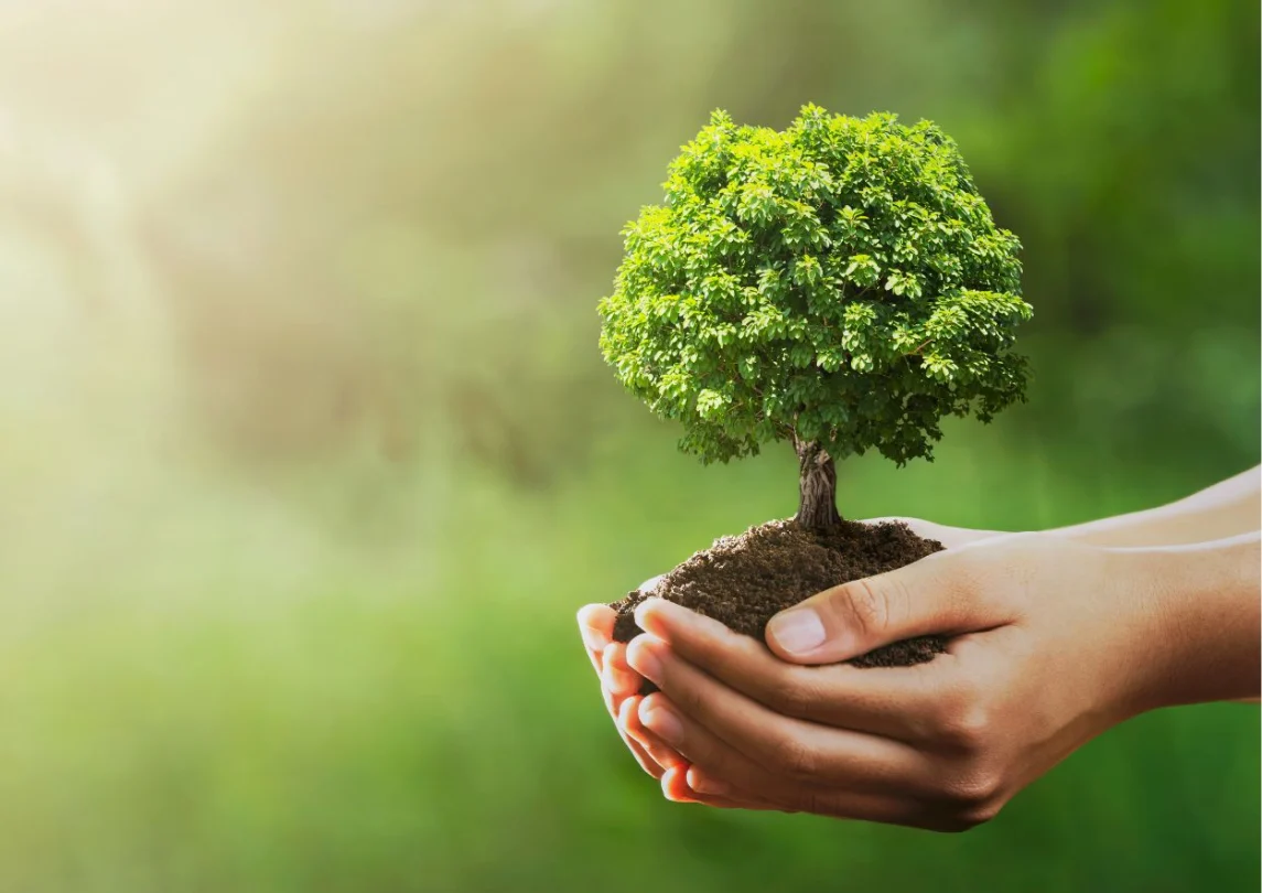 greenwashing